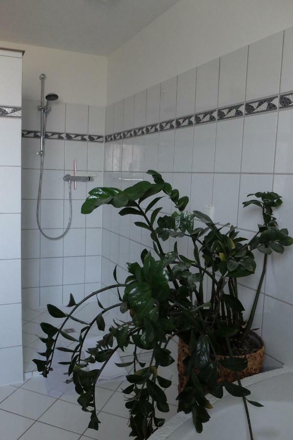 Ferienwohnung Elsa Höchst Exteriör bild
